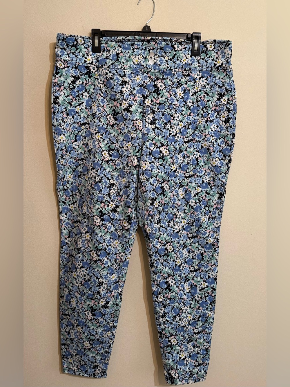 Terra & Sky Pants 1X floral design with pockets
